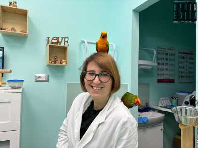 I volatili mostrano fiducia nei confronti della donna, tanto da giocare con lei: a un certo punto si arrampicano addirittura sulle sue spalle e sulla testa